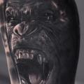 tatuaggio Braccio Realistici Gorilla di Silvano Fiato