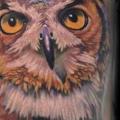Arm Realistic Owl tattoo by Forever Tattoo