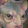 tatuaje Realista Mano Gato por Forever Tattoo