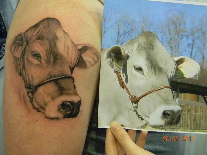 Arm Realistic Cow Tattoo by 2nd Skin