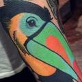 Arm Toucan tattoo by Cloak and Dagger Tattoo