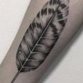 Arm Feather Dotwork tattoo by Marla Moon