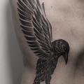 tatuaje Lado Dotwork Pájaro por Marla Moon