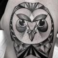 Shoulder Owl Dotwork tattoo by Zmierzloki tattoo