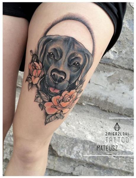 Tatuagem Cachorro por Zmierzloki tattoo