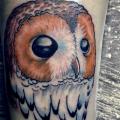 Arm Realistic Owl tattoo by Tattoo-77