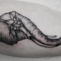 Arm Elephant tattoo by Luciano Del Fabro