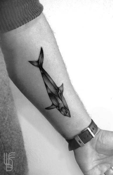 Tatuaje Brazo Dotwork Tiburón por Luciano Del Fabro