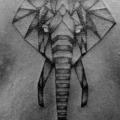 tatuaggio Schiena Elefante di Luciano Del Fabro