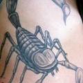 Realistic Side Scorpion tattoo by Body Cult