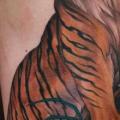 Shoulder Arm Realistic Tiger tattoo by Nicklas Westin