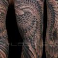 tatuaggio Fantasy Fenice Manica di Nicklas Westin