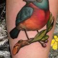 tatuaje Brazo Realista Pájaro por Niteowl Tattoo