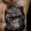 tatuaje Realista Lado Vientre Gorila por Proskura Art
