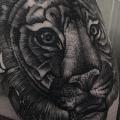 tatuaje Hombro Tigre por Parliament Tattoo