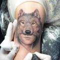 Arm Wolf Frau tattoo von Tattoo Power