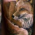 Arm Realistic Fox tattoo by Sam Barber