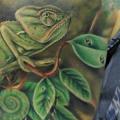Shoulder Realistic Chameleon tattoo by El Loco Tattoo Lounge