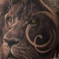 Realistic Chest Lion tattoo by The Raw Canvas