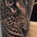 tatuaje Brazo Realista Tigre por PXA Body Art