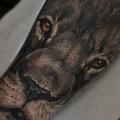 Arm Realistic Lion tattoo by PXA Body Art