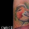 tatuaje Brazo Pájaro por Imaginarium Tatouage