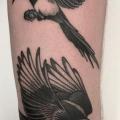 tatuaje Brazo Pájaro por NR Studio