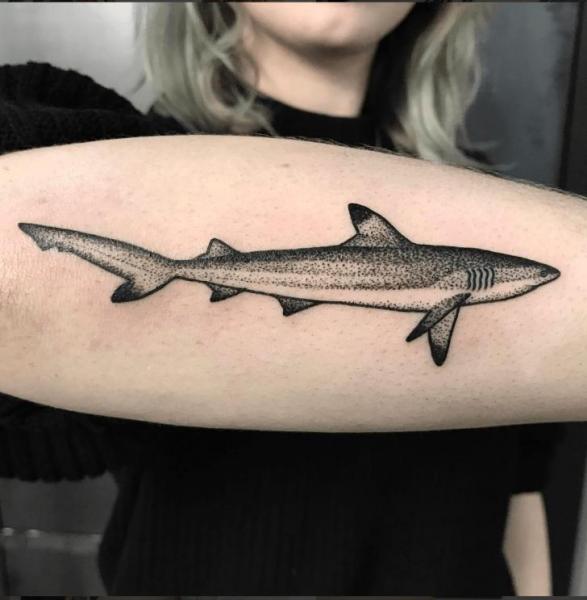 Arm Dotwork Shark Tattoo by NR Studio