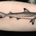 tatuaje Brazo Dotwork Tiburón por NR Studio
