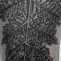 Arm Blatt tattoo von Voice of Ink