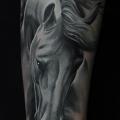 tatuaggio Braccio Realistici Cavalli di Voice of Ink