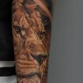 Arm Realistic Lion tattoo by Voice of Ink