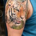 tatuaje Brazo Tigre por Art Faktors