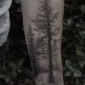 Arm Realistic Tree tattoo by Bang Bang