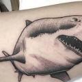 Arm Dotwork Shark tattoo by Logia Barcelona