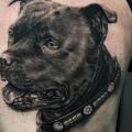 Arm Realistic Dog tattoo by Logia Barcelona