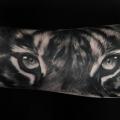 Arm Realistische Tiger tattoo von Logia Barcelona