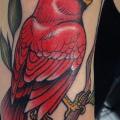 Arm Vogel tattoo von Black Anvil Tattoo