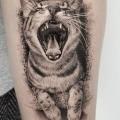 Arm Cat Dotwork tattoo by Dot Ink Group
