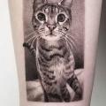 Arm Cat Dotwork tattoo by Dot Ink Group