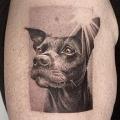 Arm Hund Dotwork tattoo von Dot Ink Group