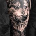 Arm Wolf tattoo von Heart of Art