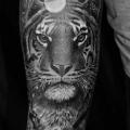 tatuaje Brazo Realista Tigre por Heart of Art