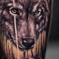 Realistische Wolf tattoo von Sabian Ink