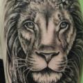 Schulter Arm Löwen tattoo von Cia Tattoo