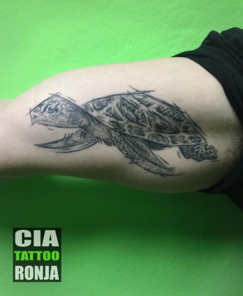 Arm Turtle Tattoo by Cia Tattoo