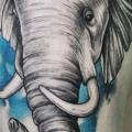 Shoulder Elephant tattoo by Cia Tattoo