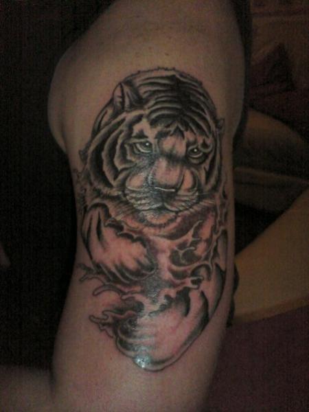 Arm Realistic Tiger Tattoo by Beverley Ink