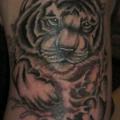 tatuaje Brazo Realista Tigre por Beverley Ink