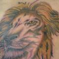 Rücken Löwen tattoo von Beverley Ink